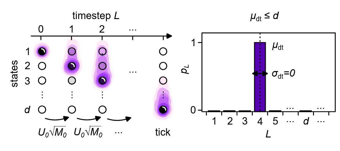 least-variable-quantum-counting-processes.png